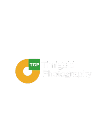 Timi Logo